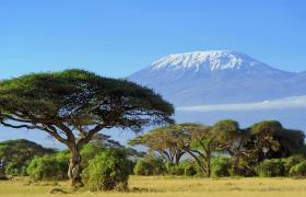 De hoogste berg in Afrika: de Kilimanjaro
