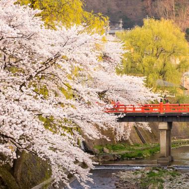 Lente in Takayama, één van de mooiste stadjes van Japan