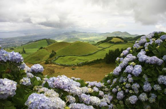 Eiland São Miguel is weelderig groen en vol bloeiende planten