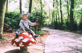 De leukste vakantieparken in Nederland