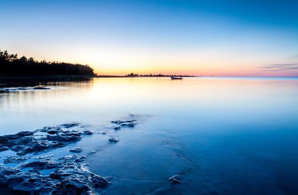 De mistige zonsopgang in Zweden